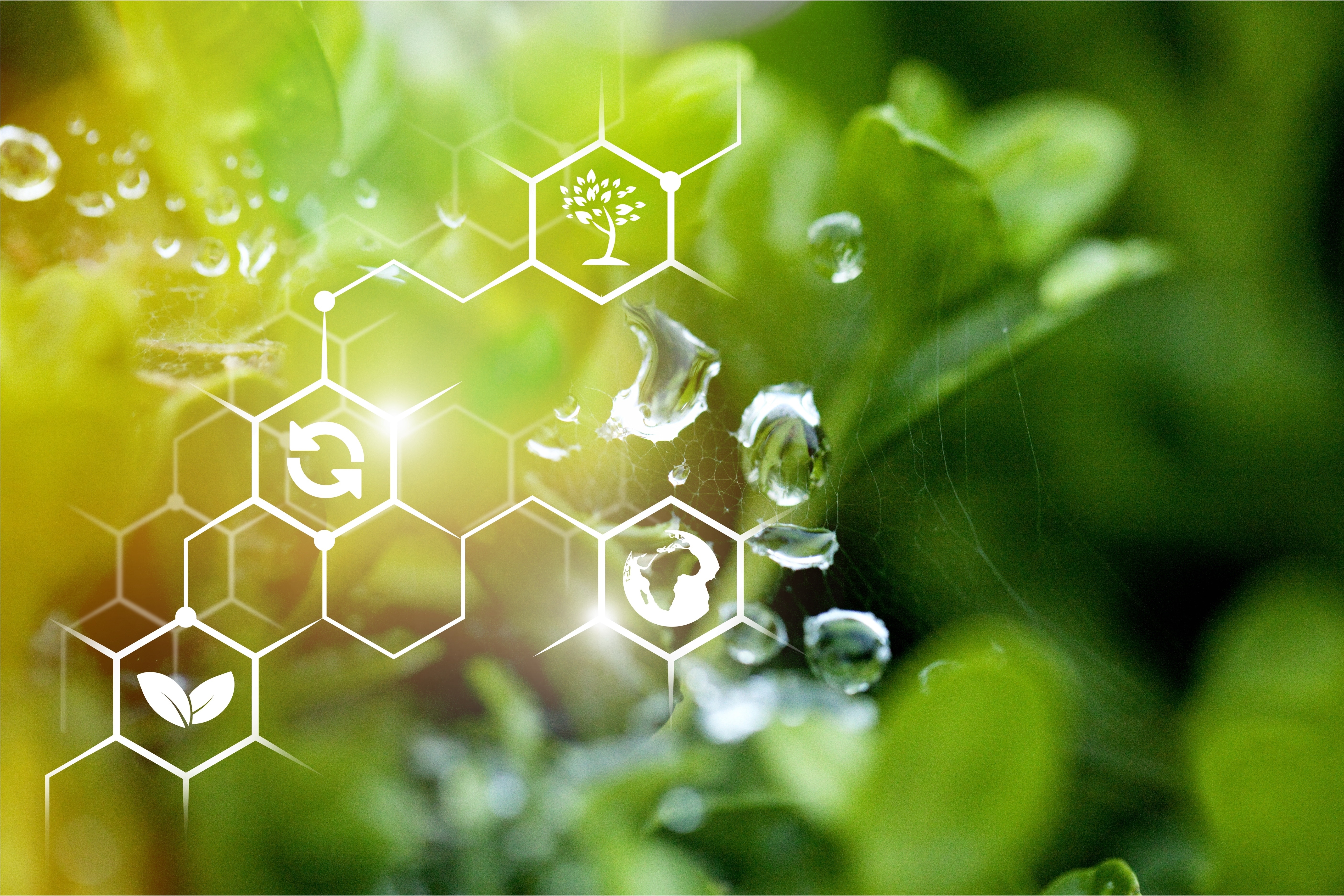 biological knowledge and advanced technology as pillars of a future-oriented, sustainable bioeconomy